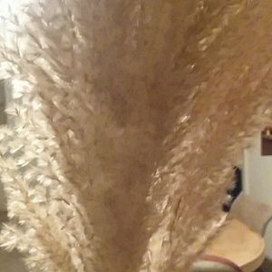 Meet your Posher, Georgianna